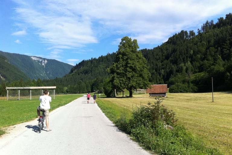 Bled: Verhuur mountainbikes