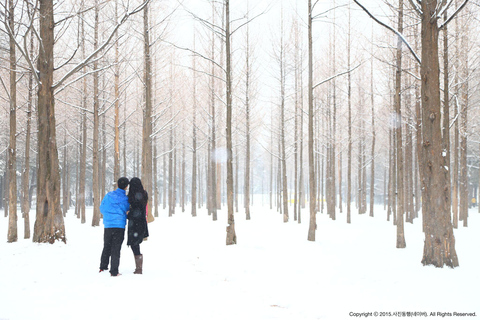 Séoul : Elysian Ski + Eobi Ice Valley + NamiDépart de Hongik Univ. Station Exit 8 - Sled