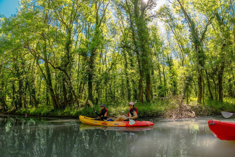 From Varna: Kayaking tour on Kamchia river