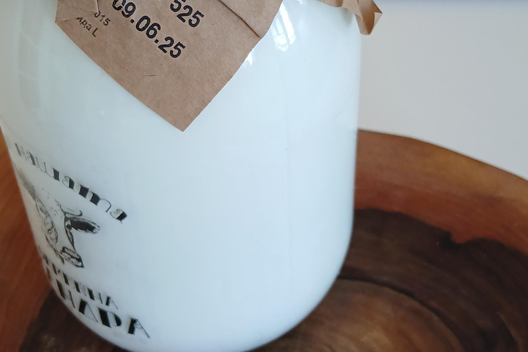 Sofia: Taste Bulgarian Kiselo Mlyako Yogurt in a Family Home