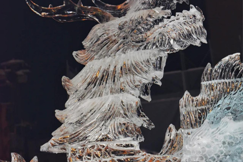 Sapporo: Heiwa-dori Ice Festival Private Day Tour No return to Sapporo