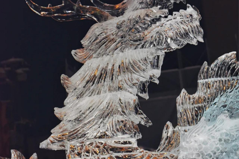 Sapporo: Heiwa-dori Ice Festival Private Day Tour No return to Sapporo