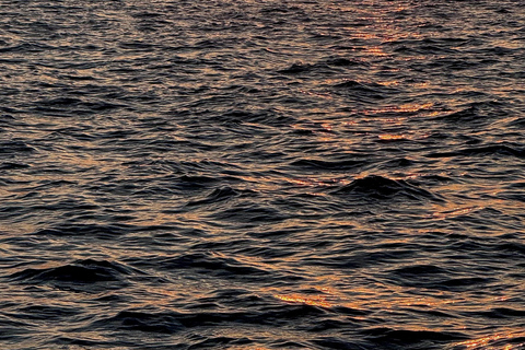 Bosphore d'Istanbul : croisière de 3 heures avec arrêt dans la partie asiatiqueBosphore : croisière guidée de 3 heures (sans repas)