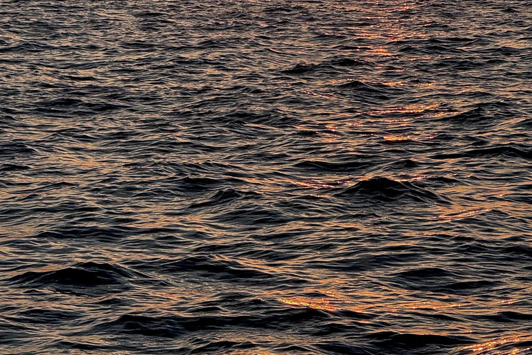 Bosphore d'Istanbul : croisière de 3 heures avec arrêt dans la partie asiatiqueBosphore : croisière guidée de 3 heures (sans repas)