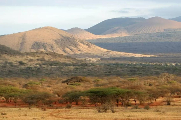 Mombasa: Tsavo West & Amboseli 3-Day Safari Tour