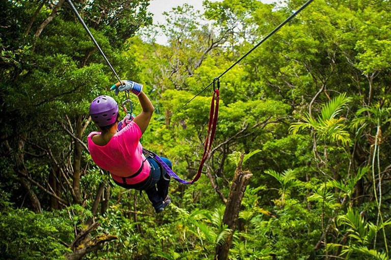Puerto Maldonado: 6-Day Amazon Tour with Sandoval Lake