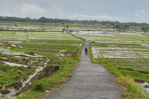 Yogyakarta: tour del Palazzo del Sultano, Borobudur e tramontoYogyakarta: Palazzo del Sultano, Borobudur e tour al tramonto