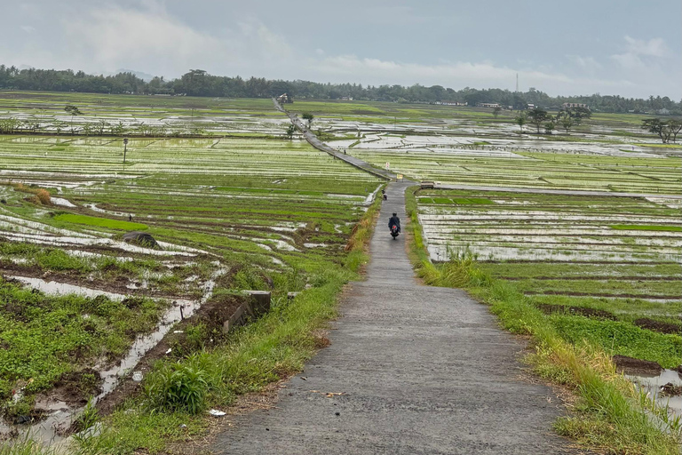Yogyakarta: tour del Palazzo del Sultano, Borobudur e tramontoYogyakarta: Palazzo del Sultano, Borobudur e tour al tramonto