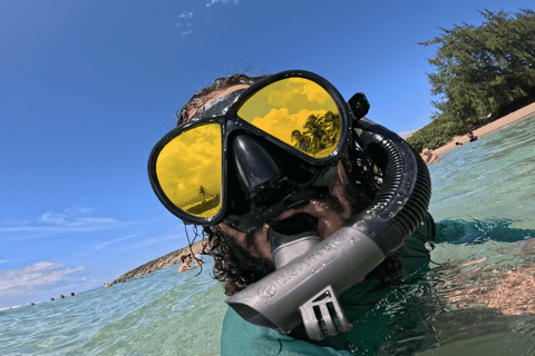 Jobo Beach Turtle Snorkeling Adventure