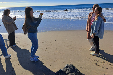 Malibu: wino, jedzenie i wycieczka na plażę