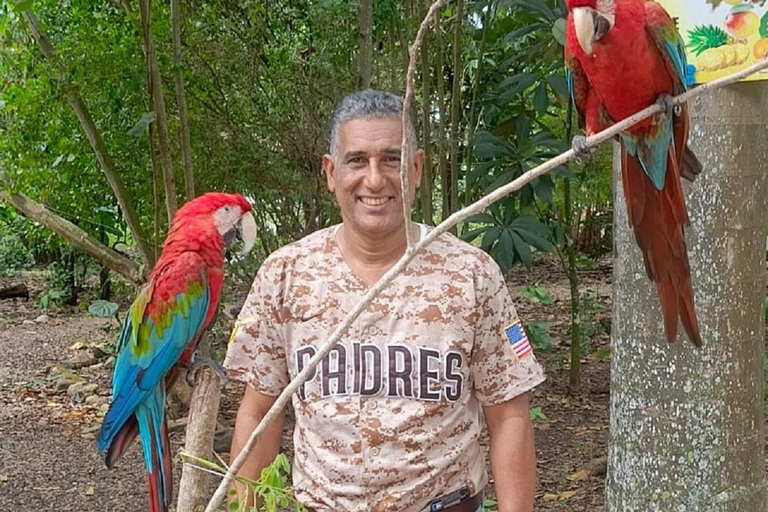 Puerto Plata: Watching Wild Primates and Botanical Hiking