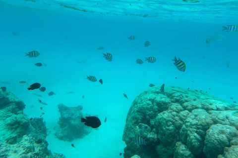 Zanzibar: tour dell'isola di Pungume e snorkeling con pranzo barbecueTour privato con servizio di prelievo e rientro in hotel incluso