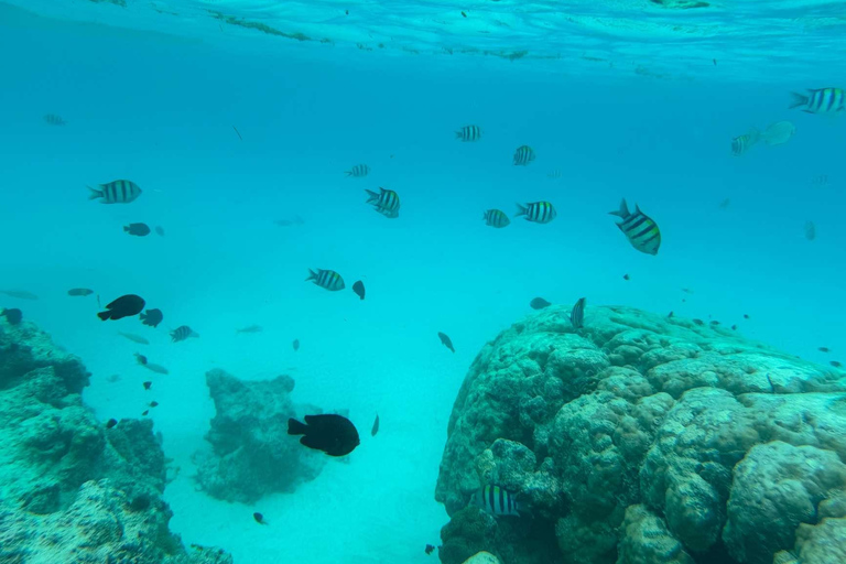 Zanzibar: tour dell'isola di Pungume e snorkeling con pranzo barbecueTour privato con servizio di prelievo e rientro in hotel incluso