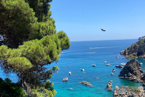 Barcelona: Private Trip, Girona, Medieval Town, Coast & Wine Private Day Trip