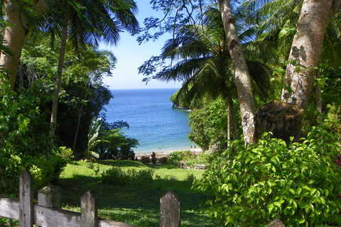 Trinidad: Zip Lining-upplevelse och panoramautsikt över Fort George