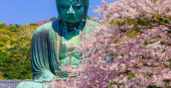 Tokio: Ausflug nach Kamakura und Enoshima mit Zugfahrt, Großer Buddha