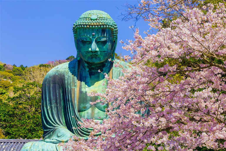 Tóquio: viagem a Kamakura e Enoshima com passeio de comboio e Grande Buda8h00 - Partida da Estação JR de Tóquio