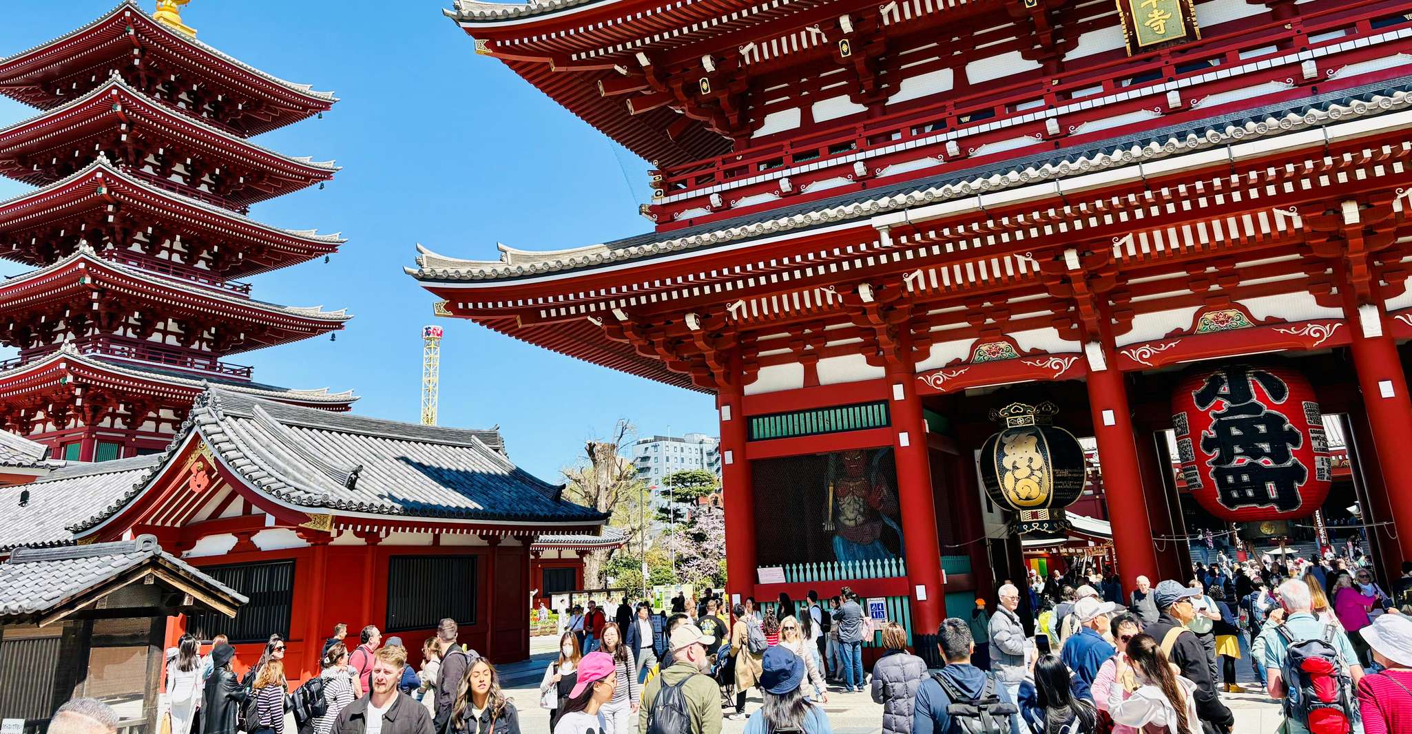 Tokyo: Private Full-Day Tour by Luxury Car with Guide