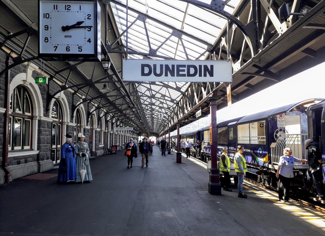 Dunedin: Otago-halvøen med guidet pingvintur