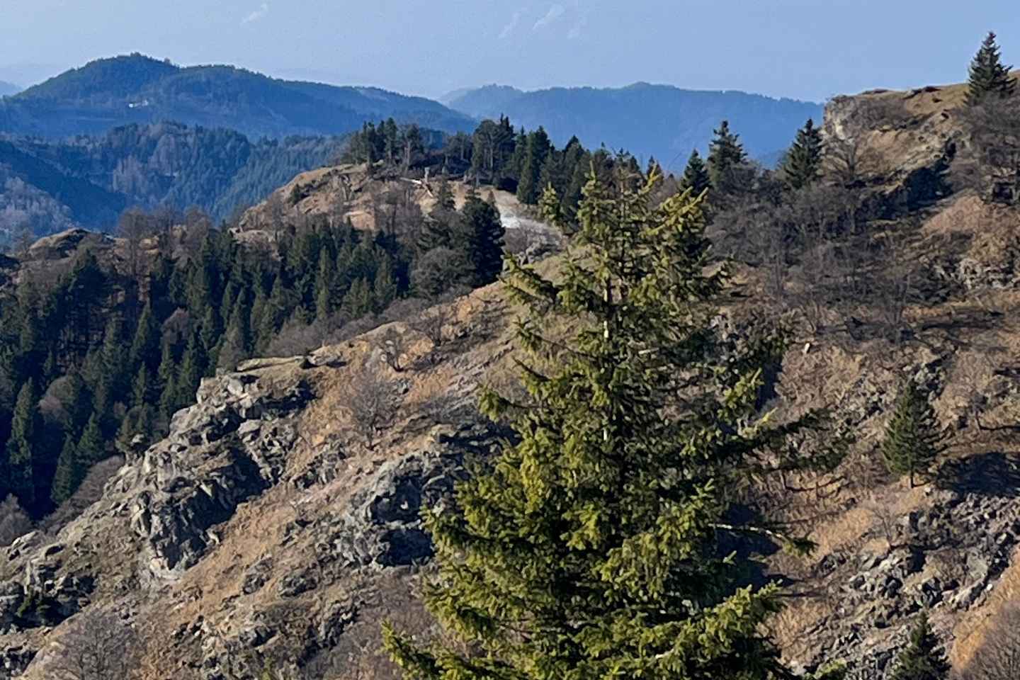 Basel: Black Forest, Waterfall &Mountain, Lakes Private Tour