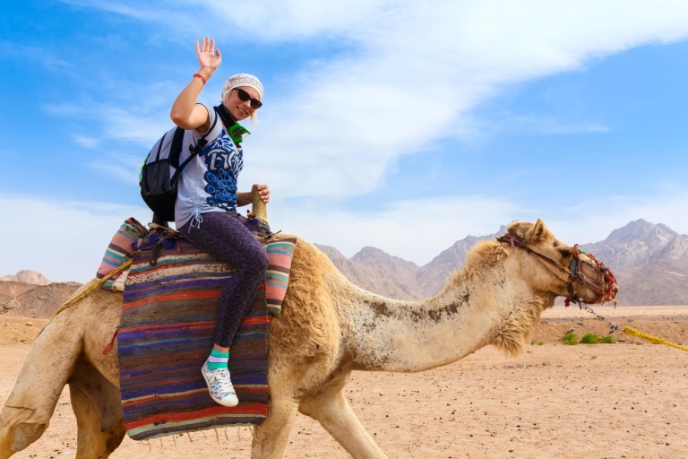 Sharm : Balade à dos à de chameau et aventure arabe avec petit déjeunerSharm : Balade à dos à dos de chameau et aventure dans le désert avec petit déjeuner