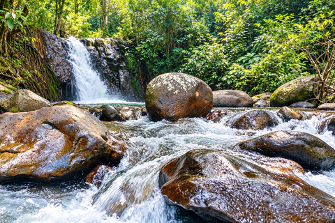 Na Duang Village Full-Day Cultural and Natural Experience