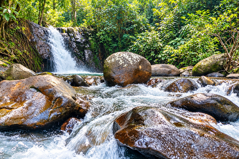 Na Duang Village Full-Day Cultural and Natural Experience