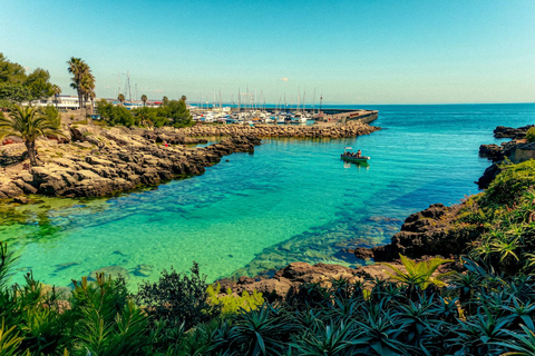 From Lisbon: Sintra, Pena, Regaleira & Cascais Day Trip Private Full Experience: Day trip (Spanish Host)