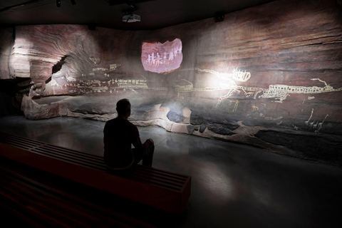 Joanesburgo: Tour de Zipline e Berço da HumanidadeJoanesburgo: passeio de tirolesa e Berço da Humanidade