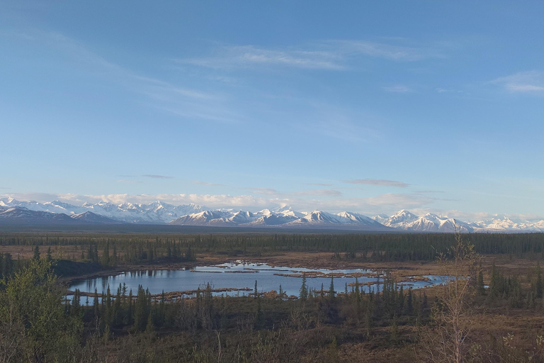 Authentical Denali Tour from Denali Park and Fairbanks