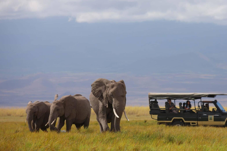 3 Days Amboseli National Park Including Masai Village Visit