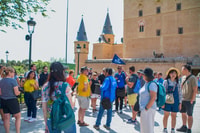 Desde Madrid, Toledo y Segovia con un recorrido opcional de ávila - Housity