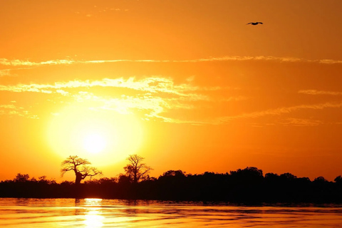 Sine Saloum: 2-Day Delta Boat Tour with Camping Sine Saloum: Delta discovery by boat with bivouac