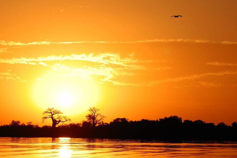 Sine Saloum: 2-Day Delta Boat Tour with Camping Sine Saloum: Delta discovery by boat with bivouac