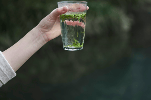 Hangzhou Tea Experience: Kombucha, Song Tea & Longjing