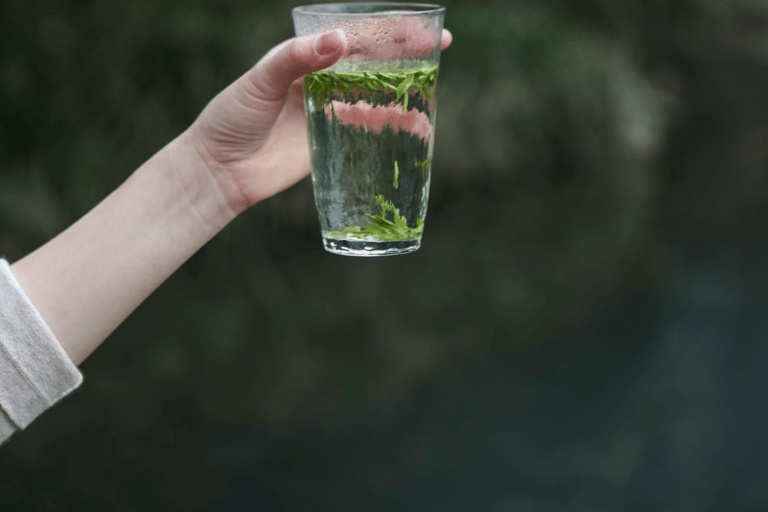 Hangzhou Tea Experience: Kombucha, Song Tea & Longjing