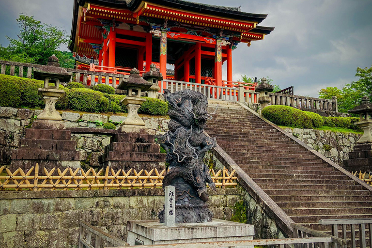 Kyoto & Nara: Private Guided Tour on Green Licensed Alphard