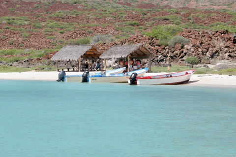 Coronado Island and Snorkel Tour