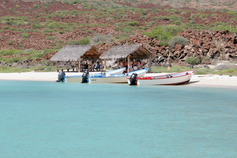 Coronado Island and Snorkel Tour