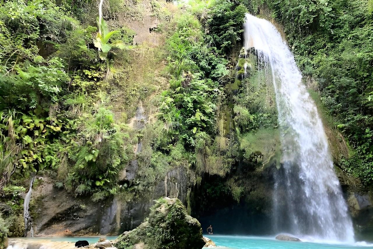 Cebu: Whale Shark Watching and Aguinid Falls Canyoneering …