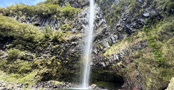 Madeira: PR6.2 Levada Do Alecrim Guided Hike