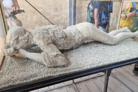 From Naples: Pompeii and Sorrento Day Trip with Lunch Lunch not included