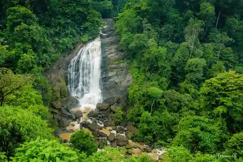 OVERNIGHT MUNNAR FROM KOCHI