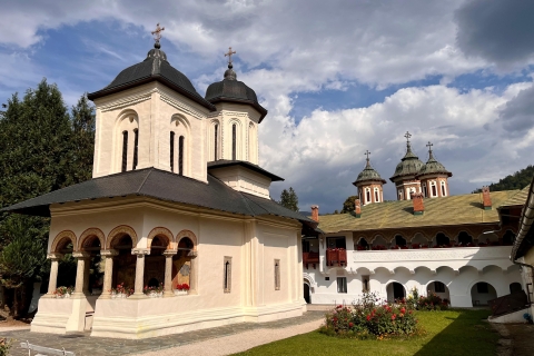 From Brasov: Tour of Castles and Surrounding Area Standard Option
