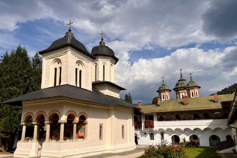 De Brasov: visite des châteaux et de ses environsOption standard