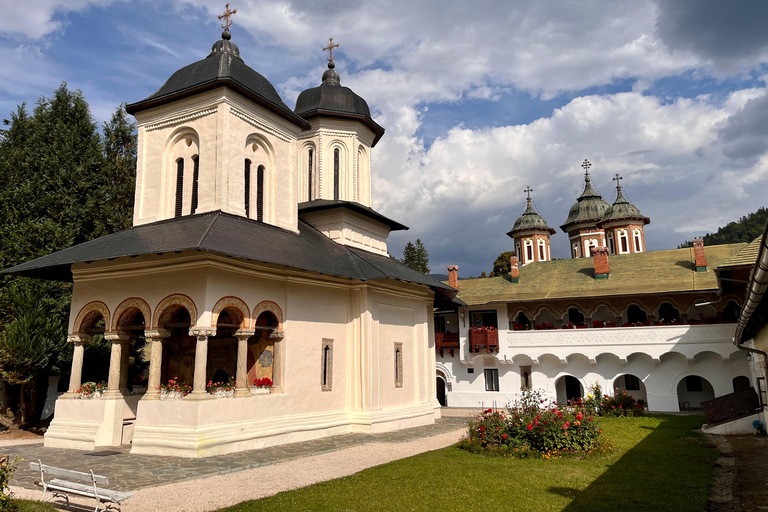 De Brasov: visite des châteaux et de ses environsOption standard