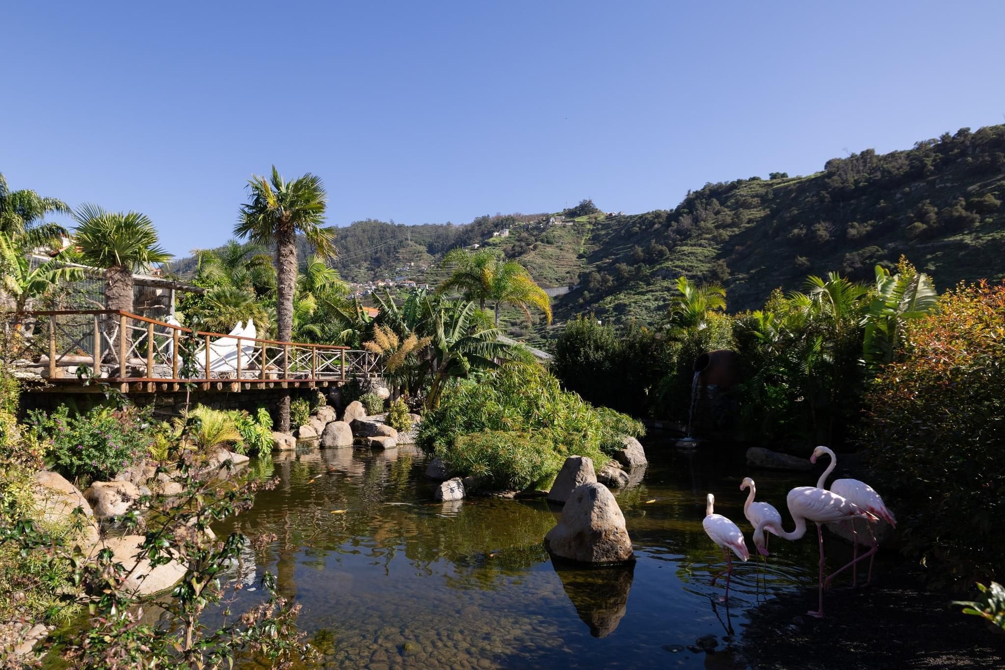Besuch der Vogelinsel Madeira