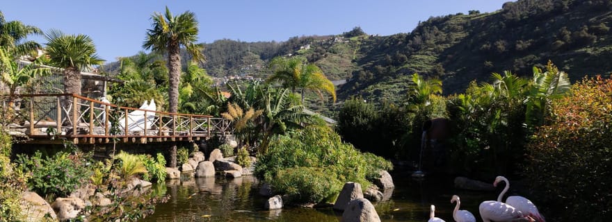 Visite de l'île aux oiseaux de Madère