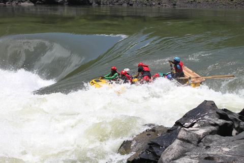 High-Water Zambezi Rafting from Victoria Falls & Livingstone