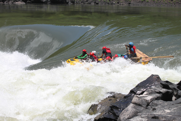 High-Water Zambezi Rafting from Victoria Falls & Livingstone